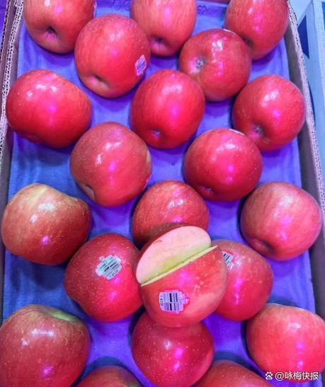 美印贸易协议难达成 农业红线与家禽问题成主要障碍