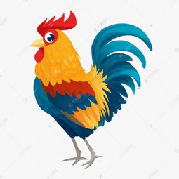 花公鸡 千库网家禽动物素材的绚丽风采