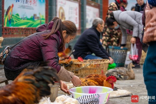 小小乡村赶集日 脱贫路上的致富车与鲜活水产品